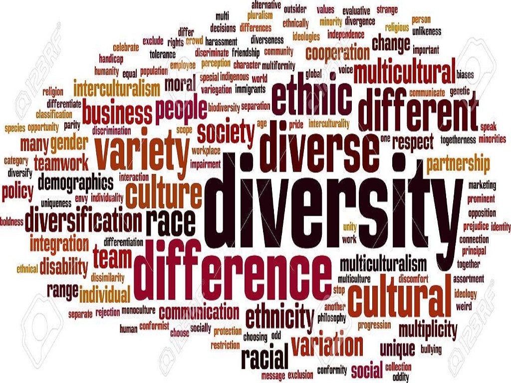 19-cultural-diversity-examples-2024